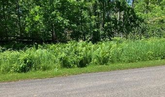 TBD Maple Isle Court Unit 34, Alanson, MI 49706