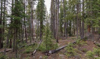 436 Moonstone Rd Lot 13, Breckenridge, CO 80424