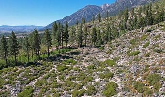 Kingsbury Grade, Gardnerville, NV 89460