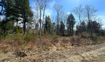 Lot # 02 North Road, Parsonsfield, ME 04047