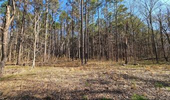 13 Acres Pridesville Rd, Amelia, VA 23002