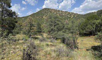 XY Black Dog Road, Silver City, NM 88061