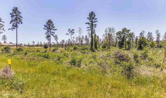 0 Allen Rd, Atmore, AL 36502