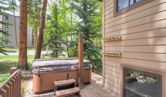 114 Park Forest Dr, Breckenridge, CO 80424