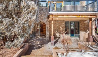 990 E Hopkins Ave, Aspen, CO 81611