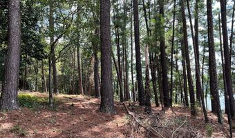 8 SC-215 S, Blair, SC 29015