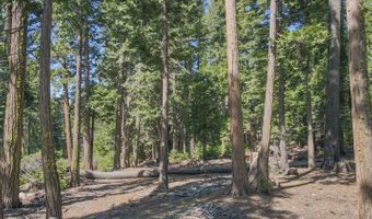 403 Sierra Pkwy, Camp Connell, CA 95223