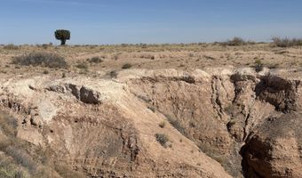 BOSQUE SANDHILL RANCH, Belen, NM 87002