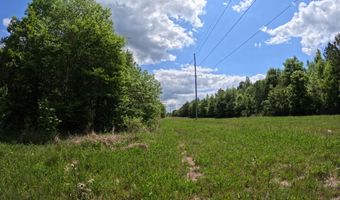 Christian Hts Road, Braxton, MS 39044