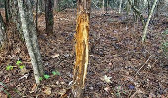 Watts Ln NW, Brookhaven, MS 39601