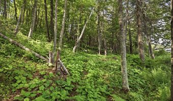 33775 Mcneil Rd, Aitkin, MN 56431