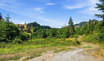 49629 HIGHWAY 242, Broadbent, OR 97414