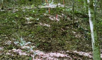 00 Coal Branch Rd, Beattyville, KY 41311