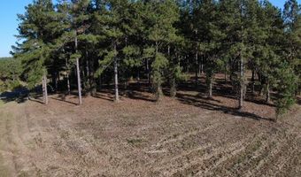 Lot 8 Mountain View Way, Bainbridge, GA 39819