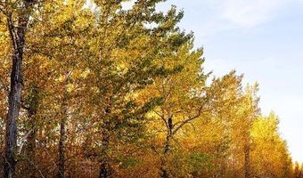 20 Prairie Grass B, Bozeman, MT 59718