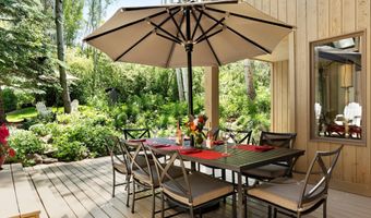 1145 Black Birch Dr, Aspen, CO 81611