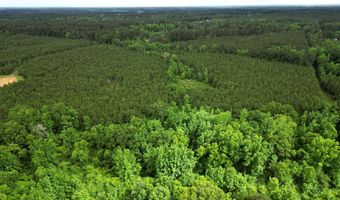 1099 Us-84, Brookhaven, MS 39601