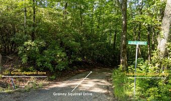 1621 Granny Squirrel Dr, Andrews, NC 28901