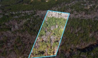 15045 LOCK 17 Rd Lot 1, Adger, AL 35006