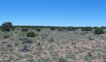 Tbd Windsor Valley Ranch Lot 87, Concho, AZ 85924