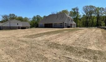 12754 HEATHER OAK, Arlington, TN 38002