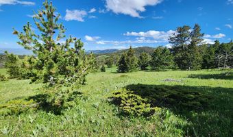 Blacktooth Road lot 12, Big Horn, WY 82833