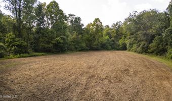 2233 Holloman Rd, Bentonia, MS 39040