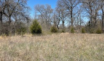 Willow Bend Lane, Atoka, OK 74525