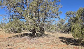 2 E Raney Rd, Ash Fork, AZ 86320