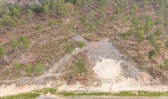 135 Beagle Chase Dr Lot 4, Appling, GA 30802