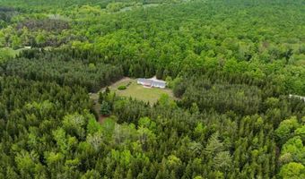 6687 BOOTY, Alanson, MI 49706