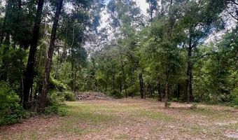 6669 36th Ln, Bell, FL 32619