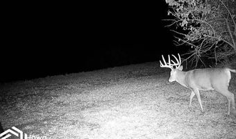 560 Th Ave, Albia, IA 52531