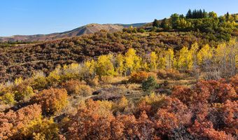 Trentaz Drive, Aspen, CO 81611