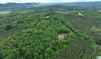 COLVIN SPRINGS ROAD 6, Ashville, AL 35953