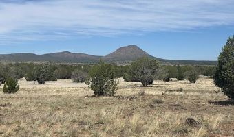 Lot 43se Tides Trl, Ash Fork, AZ 86320