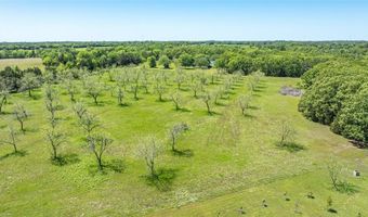 Tbd County Road 1580, Alba, TX 75410