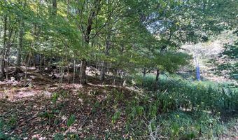 5259 NC 261 Hwy, Bakersville, NC 28705