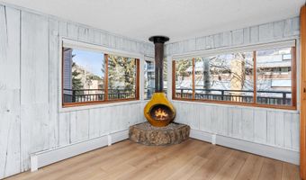 700 S Monarch St 207, Aspen, CO 81611