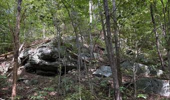 0 Coleman Mountain Rd, Appomattox, VA 24522