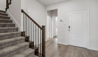 2004 Foggy Woods Ln, Anna, TX 75409