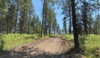 NNA Cloverland Road, Asotin, WA 99402