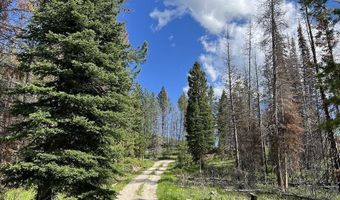 DEER HAVEN 40 AC Road, Bondurant, WY 82922