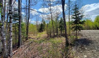 Cone Road lot # 2, Amity, ME 04471