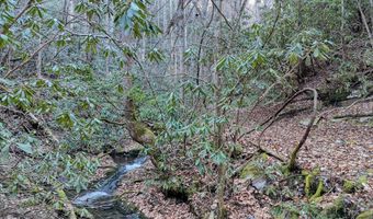 6 83ac Webb Creek Rd, Andrews, NC 28901