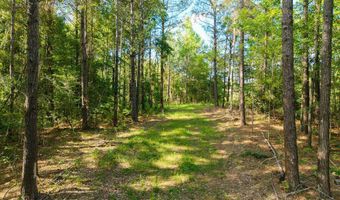 Trickhambridge Road lot 7, Brandon, MS 39042