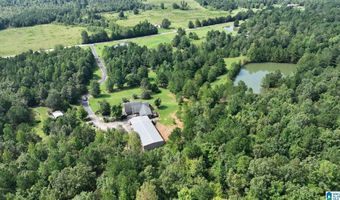 3941 SHOAL CREEK Rd, Ashville, AL 35953