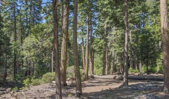 403 Sierra Pkwy, Camp Connell, CA 95223