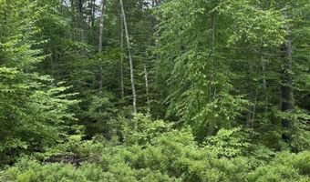 217-13 Washington St 13, Barrington, NH 03825
