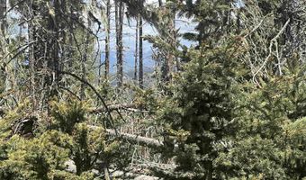 Lot 22 Hinz Drive, Angel Fire, NM 87710